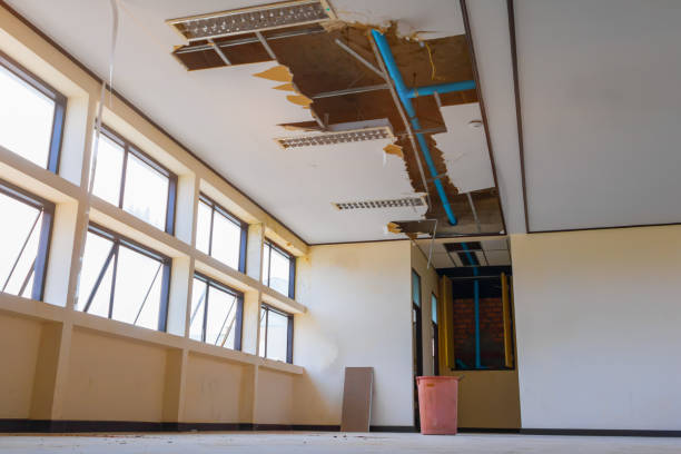 Best Residential water damage restoration  in Westway, TX