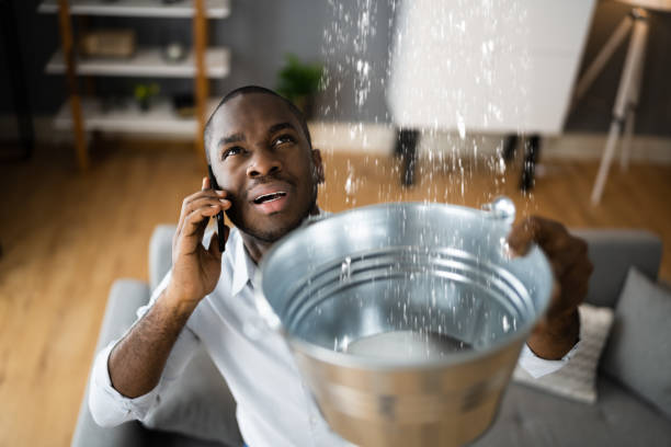 Best Flood damage cleanup  in Westway, TX
