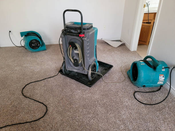 Best Water damage contractors near me  in Westway, TX