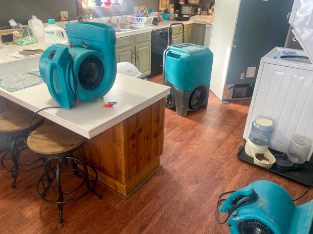 24/7 water damage repair in Westway, TX
