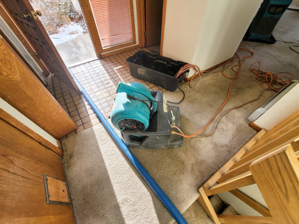 Best Ceiling water damage repair  in Westway, TX