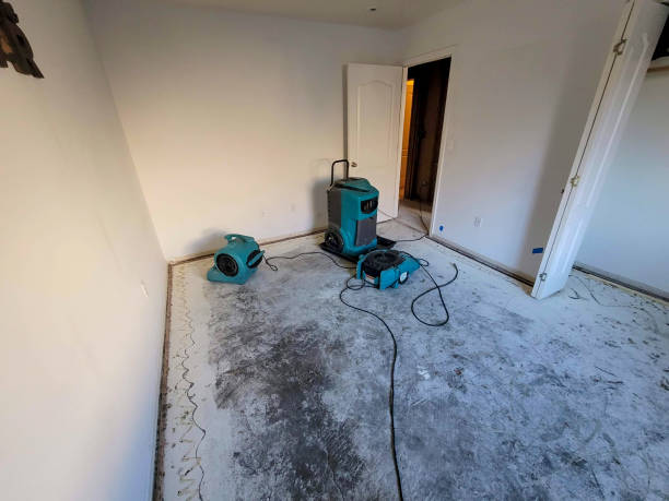 Best 24-hour water damage restoration  in Westway, TX