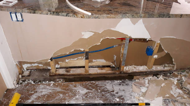 Best Carpet water damage restoration  in Westway, TX