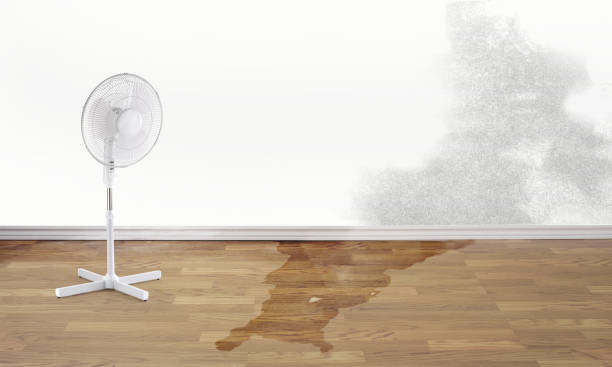 Best Sewage cleanup and water damage restoration  in Westway, TX