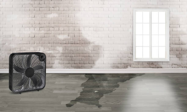 Best Emergency water damage restoration  in Westway, TX