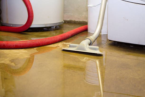 Best Water damage restoration near me  in Westway, TX