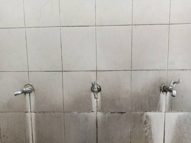Best Water damage restoration services  in Westway, TX
